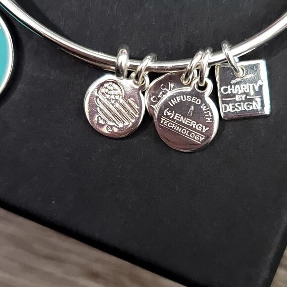Alex and Ani Arrows of Friendship Charm Bracelet - Picture 4 of 9